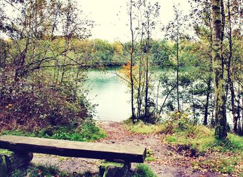 Scenic view of river by trees against sky