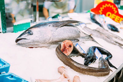 Close-up of fish for sale at market