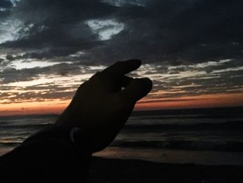 Close-up of silhouette bird on beach