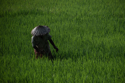 Rear view of man working on field