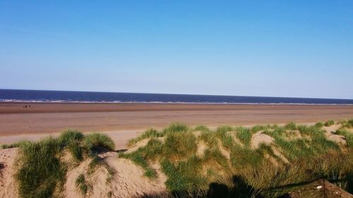 Scenic view of beach against blue sky