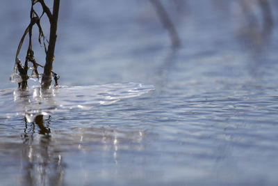 Close-up of water