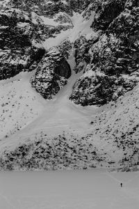 Shadow of tree on snow