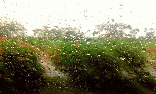 Close-up of wet window in rainy season