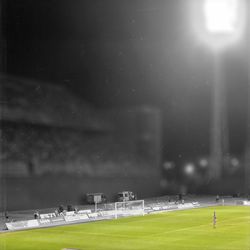 Trees on field at night