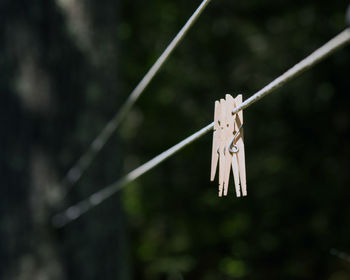 Close-up of clothespins hanging on rope