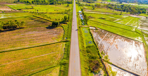 High angle view of agricultural field