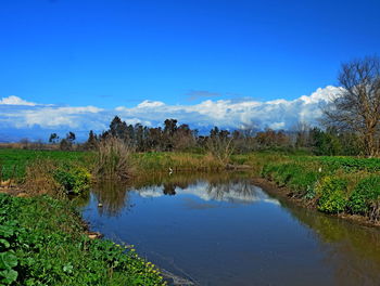 Scenic view of lake against blue sky