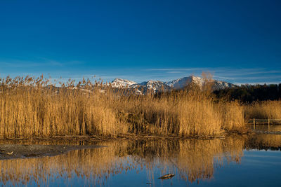 Scenic view of lake against blue sky