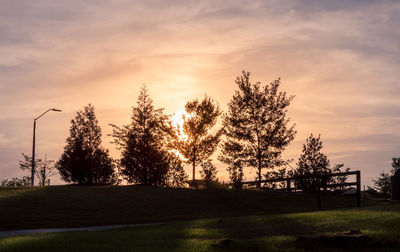 Silhouette trees on field against sky at sunset