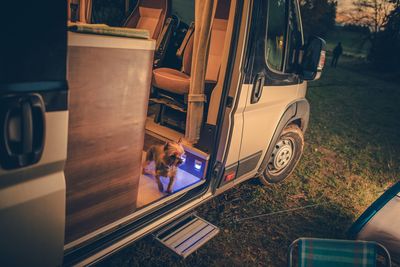 Close-up of dog in rv