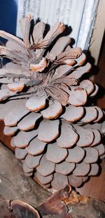 Close-up of dry leaf on table