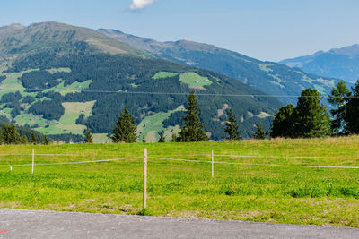 Scenic view of field against mountains