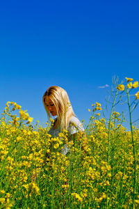 Yellow flowers growing in field