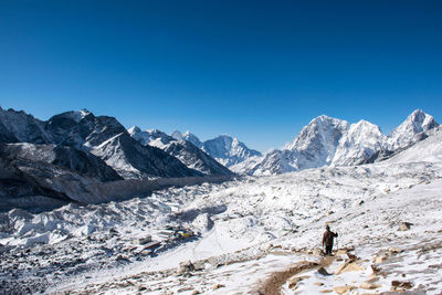 Rear view of man walking on snowcapped mountain against clear blue sky