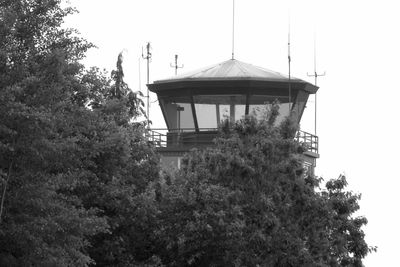 Low angle view of trees
