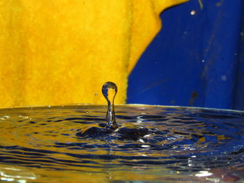 Close-up of water drop