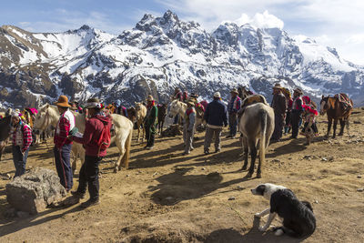 Group of peruvian guides with their horses  on snowcapped mountain waiting for tourists 