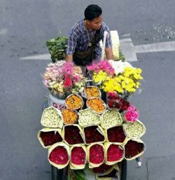 Close-up of woman holding flowers