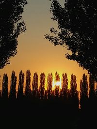 Silhouette trees against sky during sunset