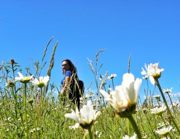Low angle view of woman walking in park against clear blue sky during sunny day