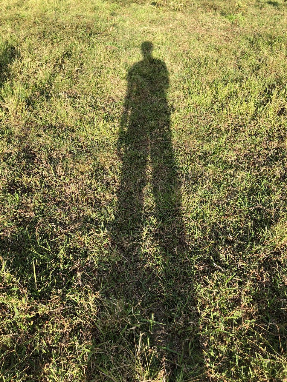 SHADOW OF TWO PEOPLE ON FIELD