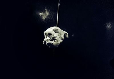 View of trees at night