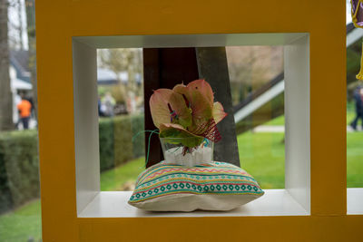 Close-up of potted plant on window at home