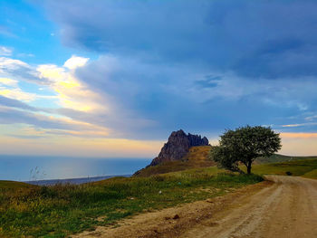 Dirt road amidst plants against sky