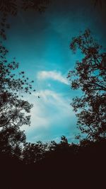 Low angle view of silhouette trees against blue sky