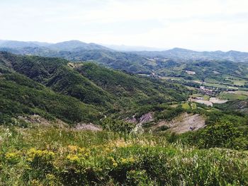 Scenic view of landscape against sky