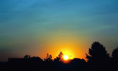 Silhouette trees against sky during sunset