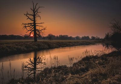 Reflection of trees in lake at sunset