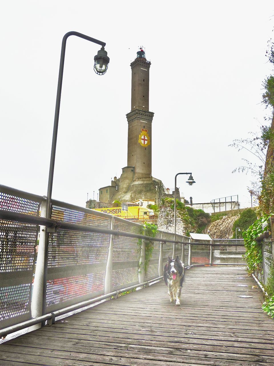 built structure, architecture, clear sky, building exterior, railing, the way forward, sky, steps, gate, street light, footpath, walkway, day, cobblestone, bridge - man made structure, outdoors, tree, paving stone, no people, connection