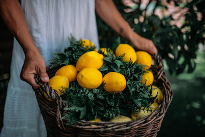 Midsection of person holding fruits in basket