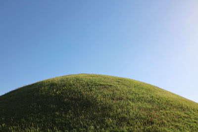 Scenic view of grassy field against clear sky