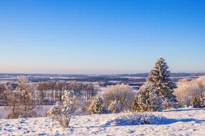 Scenic view of snow covered field against clear blue sky