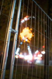 Low angle view of illuminated plants on metal fence