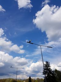 Low angle view of silhouette trees against sky