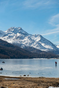 Switzerland, february 21, 2023 panorama with the frozen lake of silvaplana and the mount corvatsch 