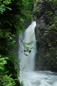 Scenic view of waterfall in forest