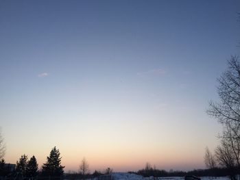 Low angle view of silhouette trees against sky during sunset