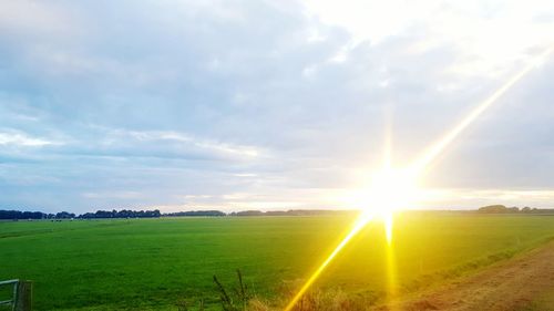 Scenic view of grassy field against sky