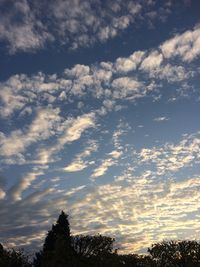 Low angle view of trees against cloudy sky