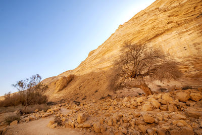 Scenic view of arid landscape against clear sky