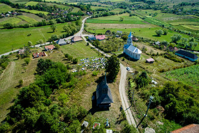 High angle view of agricultural field