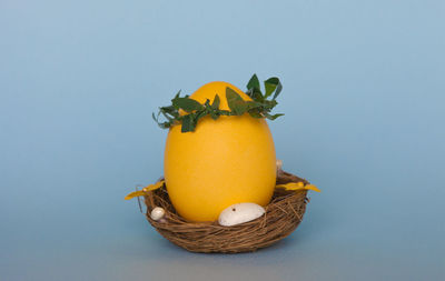 Close-up of orange fruit against blue background