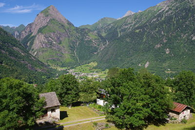 Scenic view of trees and buildings against sky