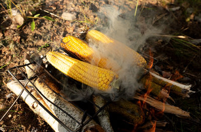 High angle view of meat on barbecue grill