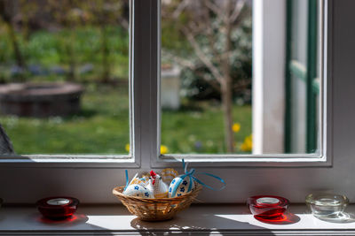 Potted plant on window